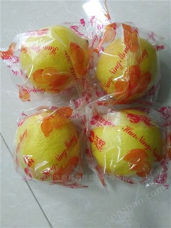 海南柠檬花袋包装机