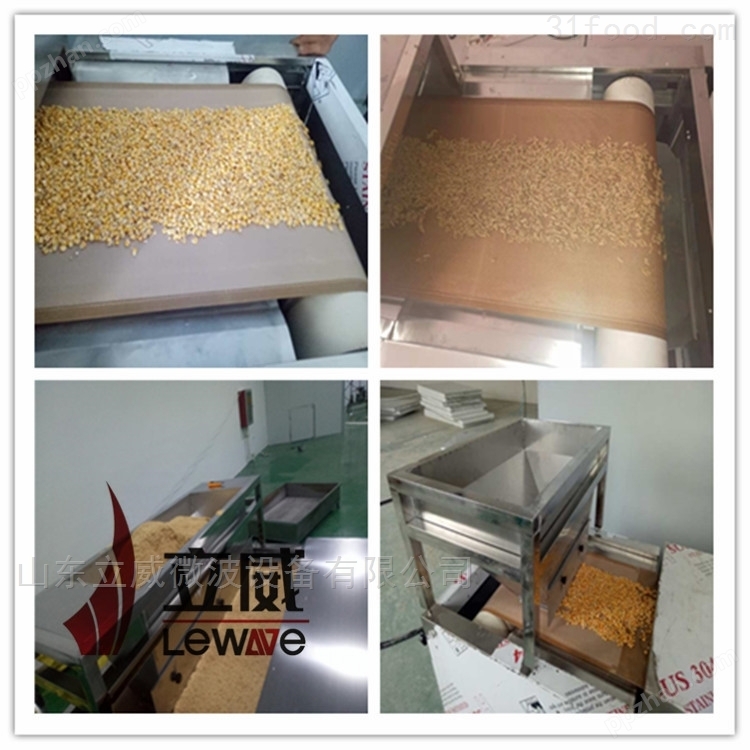 讲解下黄豆烘焙熟化机设备济南微波设备厂家