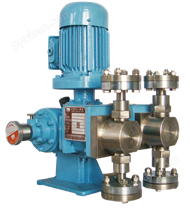 2PJ1.6(M)系列双泵头柱塞式/液压隔膜式计量泵
