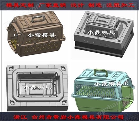 台州注塑模具公司 托运箱塑料模具