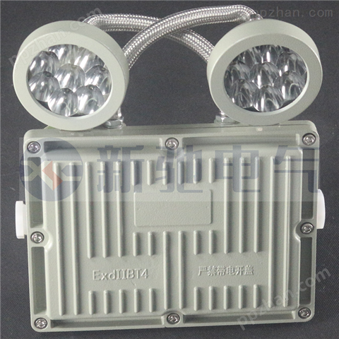 BAJ52双头型防爆应急灯 防爆LED应急照明灯