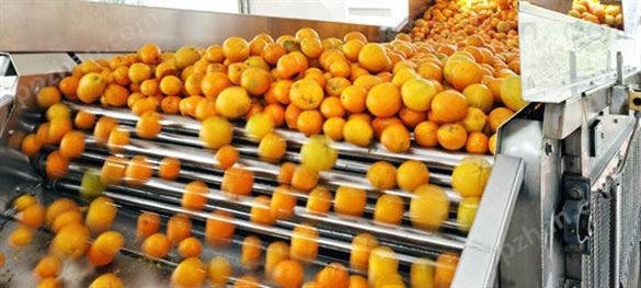 节能型橙汁生产工业橙汁机ISO CE