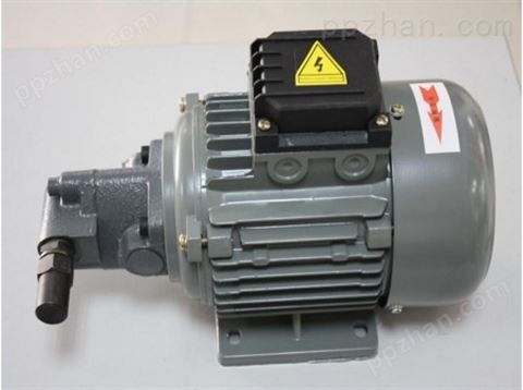 原装中国台湾REXPOWER齿轮泵 RGP-2A-F05R
