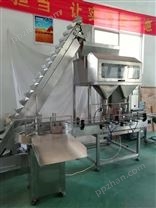 济南每日坚果罐装机 颗粒罐装生产线